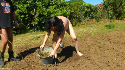 Gardening For Naked Slave Slut Pt2 - video